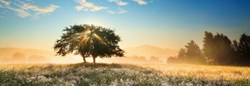 Heye puzzle panorama Play of Light 1000 pezzi paesaggio