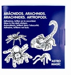 Harlekijn adesivi glow in the dark ragni - 10 pezzi decorazione