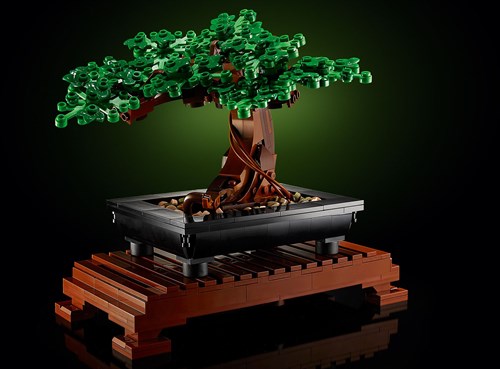 LEGO set bonsai da costruire - Botanical Collection - 10281 - regalo creativo-3