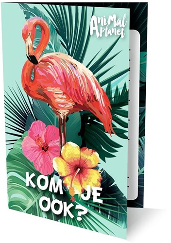 Image Books invito Animal Planet fenicottero set - 6 biglietti