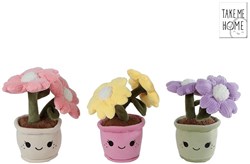 Giocattolo fiore pianta peluche 18cm colorato coccoloso