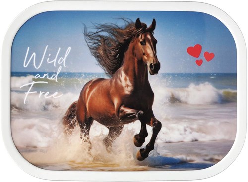 Mepal lunchbox - portapranzo bambini Wild Horse - Bento e senza BPA-2