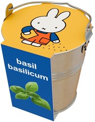 Nijntje giocattolo secchiello di zinco con basilico per bambini
