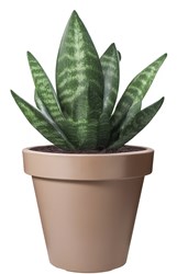 OttoSimon vaso da fiori plastica moka marrone rotondo 25cm vaso piante giardino