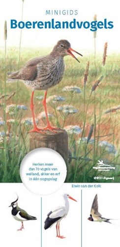 Harlekijn guida agli uccelli della campagna - mini guida per bambini e adulti