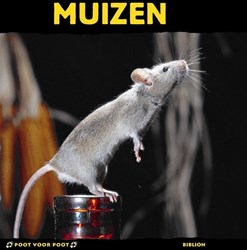 Harlekijn libro per bambini topi educativo regno animale 8+ copertina rigida