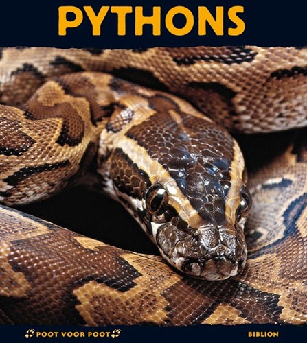Harlekijn libro per bambini pitoni natura regno animale educativo 8+