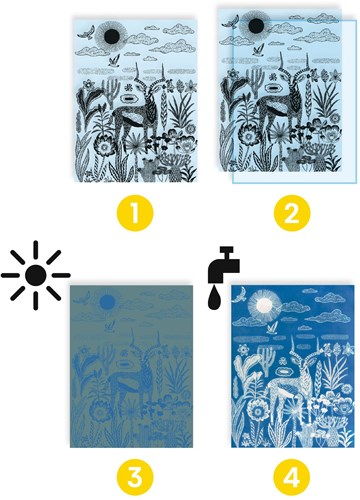 Djeco LES PLUS GRANDS - ATELIERS Savane nocturne - FSC MIX (PACKAGING)