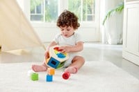 Wooden Wonder Shape Sorter-2
