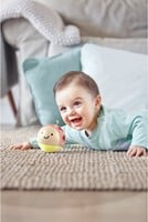Hape Busy Bug Roll-2