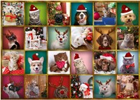 Trefl calendario dell'Avvento animali - sorpresa giocattolo 42 pezzi