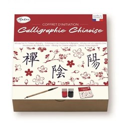 Aladine set calligrafia cinese giocattolo creativo per bambini e adulti