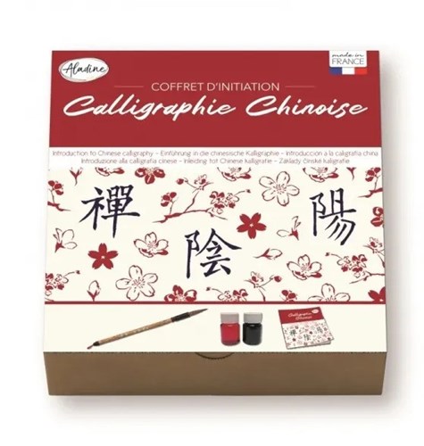 Aladine set calligrafia cinese giocattolo creativo per bambini e adulti