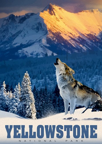 Alipson Puzzle Yellowstone Wolf - Puzzle 500 pezzi per adulti