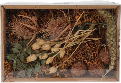 Home & Styling mix decorativo di fiori secchi in scatola Nature marrone