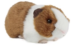 Living Nature peluche Porcellino d'India marrone con suono