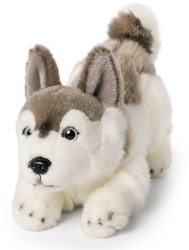 Living Nature husky peluche giocattolo cane cucciolo morbido