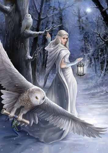 Art Puzzle puzzle Midnight Messenger - 1000 pezzi fantasy