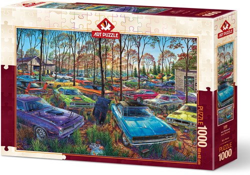 Art Puzzle puzzle Auto Graveyard - 1000 pezzi di divertimento-2