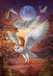 Art Puzzle puzzle Moonlight Owls - 1000 pezzi cartone