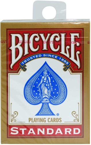 BICICLETTA Ciclista Indietro Internazionale Indietro Std. Indice-2