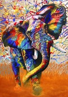 Bluebird Puzzle puzzle African Colours - 1000 pezzi animali