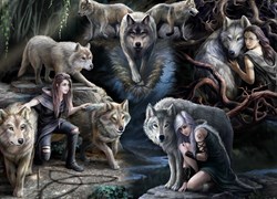 Bluebird Puzzle Anne Stokes - Wolf Collage -  Teile