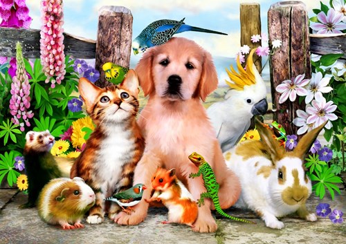 Bluebird Puzzle puzzle Good Companions - 204 pezzi giocattolo colorato