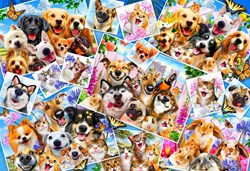 Bluebird Puzzle puzzle Selfie Pet Collage - 300 pezzi
