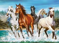 Castorland puzzle Call of Nature - 200 pezzi animali