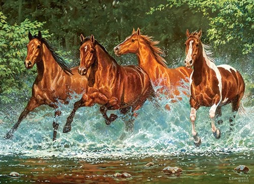 Castorland puzzle Cascade Run - 300 pezzi puzzle animali