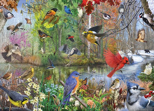 Cobble Hill puzzle 1000 pezzi - uccelli puzzle paesaggio
