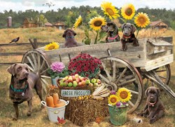 Cobble Hill puzzle Choc Wagon - puzzle 500 pezzi multicolore