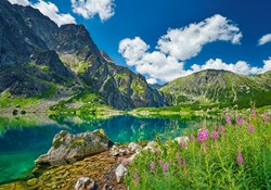 Castorland puzzle Czarny Staw pod Rysami Tatra Polonia - 500 pezzi