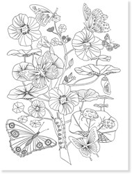 Djeco fogli da colorare natura - FSC MIX disegno creativo