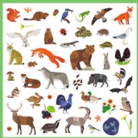 Djeco stickers fauna - adesivi animali creativi per bambini-3