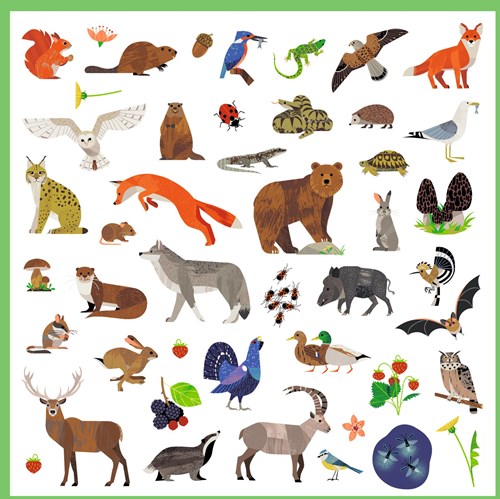 Djeco stickers fauna - adesivi animali creativi per bambini-3