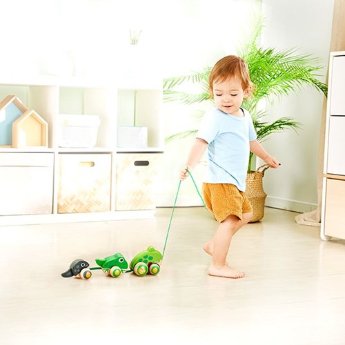 Hape famiglia di rane in legno da trainare - gioco motricità bambini