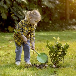 Hape pala da giardino giocattolo - pala appuntita verde per bambini dai 4 anni