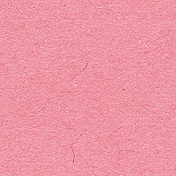 Folia cartoncino fotografico creativo rosa chiaro 10 fogli 50x70 cm 300g