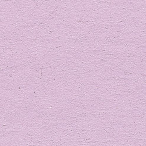 Folia cartoncino fotografico carta creativa lilla 50x70cm 300g 10 fogli