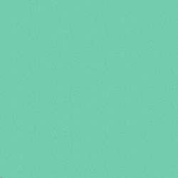 Folia cartoncino fotografico carta per hobby verde menta 50x70cm 300g 10 fogli