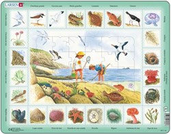 Larsen puzzle - puzzle natura - Seaside - 48 pezzi - giocattolo educativo