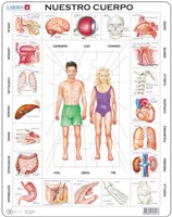 Larsen puzzle - puzzle educativo a cornice Nuestro Cuerpo spagnolo 35 pezzi
