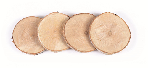 Graine Creative dischi di legno materiale creativo 7-10 cm 4 pezzi