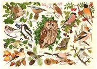 HOP - House of Puzzles XXL Pieces - Woodland Birds -  Teile