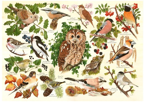 HOP - House of Puzzles XXL Pieces - Woodland Birds -  Teile