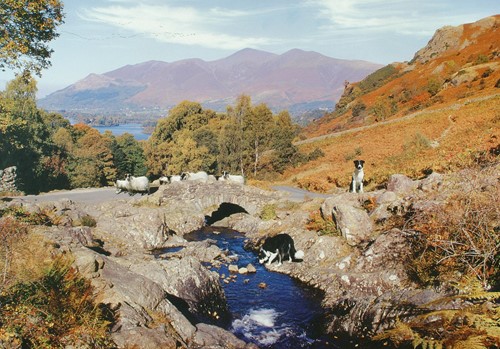 House of Puzzles Thirsty Work - 1000 Piece Jigsaw Puzzle