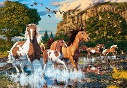 Castorland puzzle Horse Wonderland - 1000 pezzi - puzzle cavalli