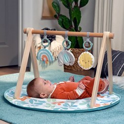 Ingenuity palestra in legno per bambini Sun Valley tappeto gioco con arco multicolore